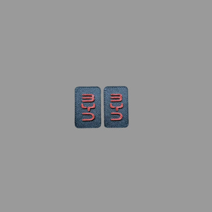 BYD Sealion 5 DMS Cover – Red