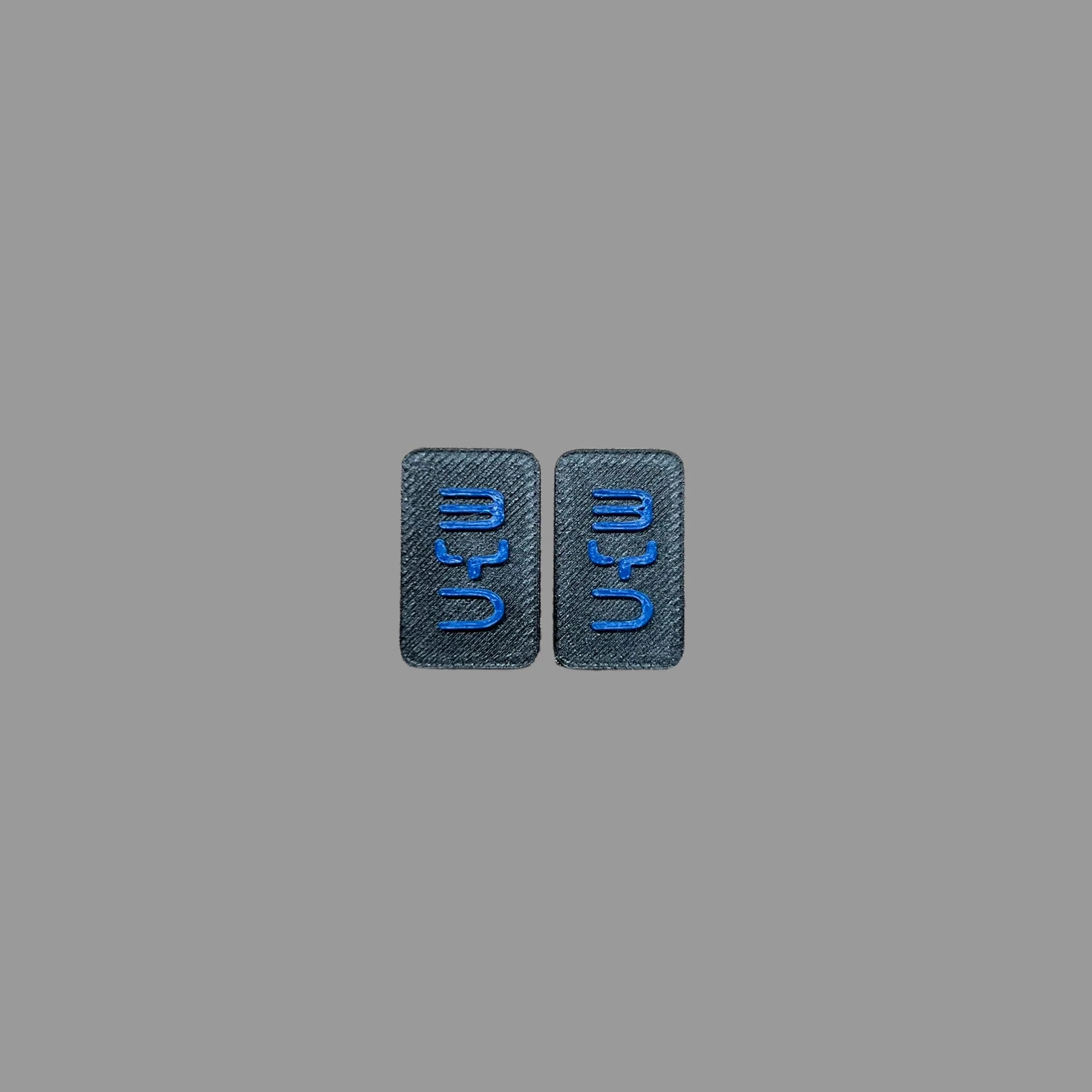 BYD Sealion 5 DMS Cover – Blue
